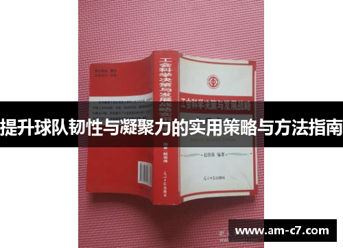 提升球队韧性与凝聚力的实用策略与方法指南 提升球队韧性与凝聚力的实用策略与方法指南