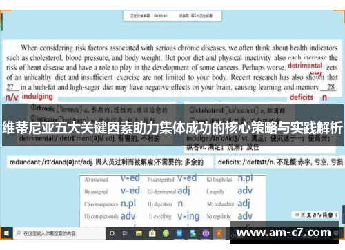 维蒂尼亚五大关键因素助力集体成功的核心策略与实践解析