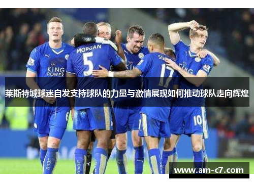 莱斯特城球迷自发支持球队的力量与激情展现如何推动球队走向辉煌 莱斯特城球迷自发支持球队的力量与激情展现如何推动球队走向辉煌