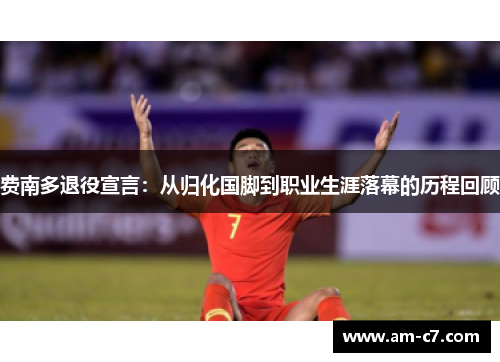 费南多退役宣言：从归化国脚到职业生涯落幕的历程回顾