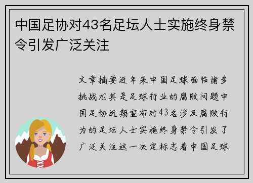 中国足协对43名足坛人士实施终身禁令引发广泛关注